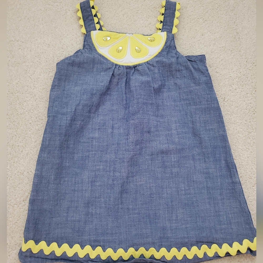 Gymboree Girls Embrodiered Lemon Chambray Dress - Citrus & Sunshine sz18-24m